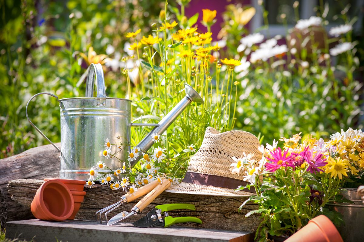 garden with tools