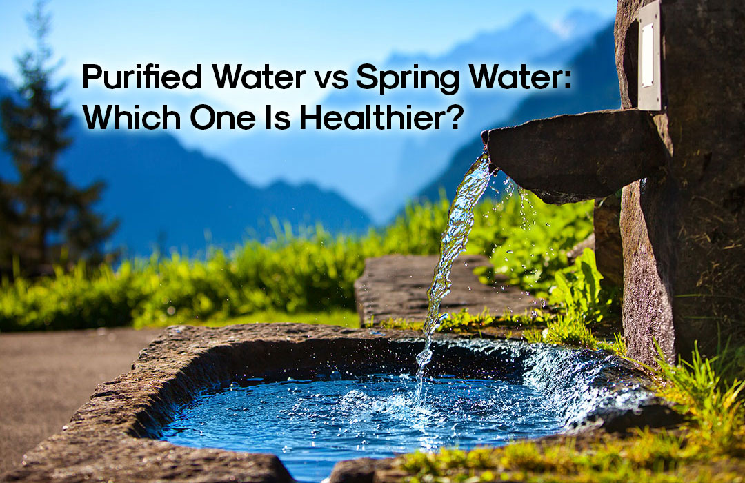 Difference Between Purified And Spring Water