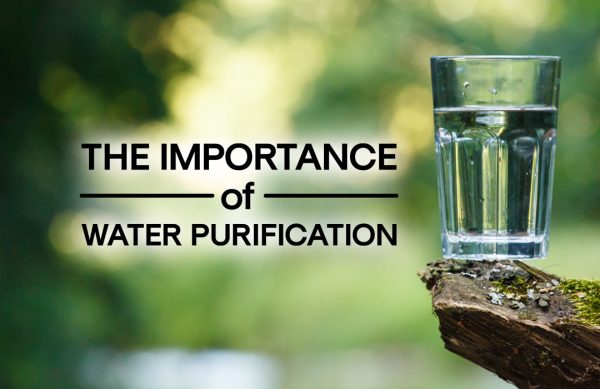 Why Is Water Purification Important Essay